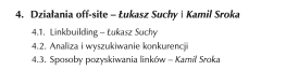 łukasz suchy seo