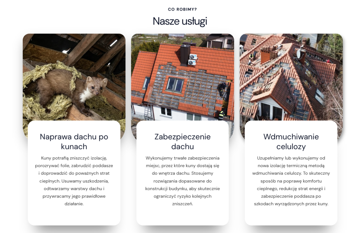 StopKuna.pl - naprawa dachu po kunach