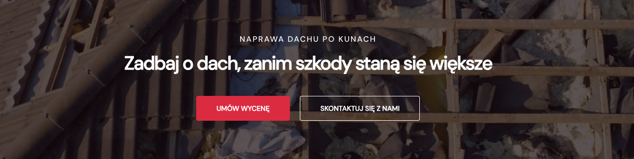 StopKuna.pl - naprawa dachu po kunach