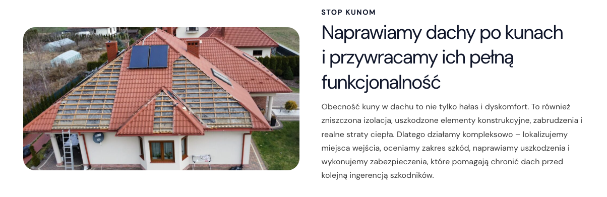 StopKuna.pl - naprawa dachu po kunach