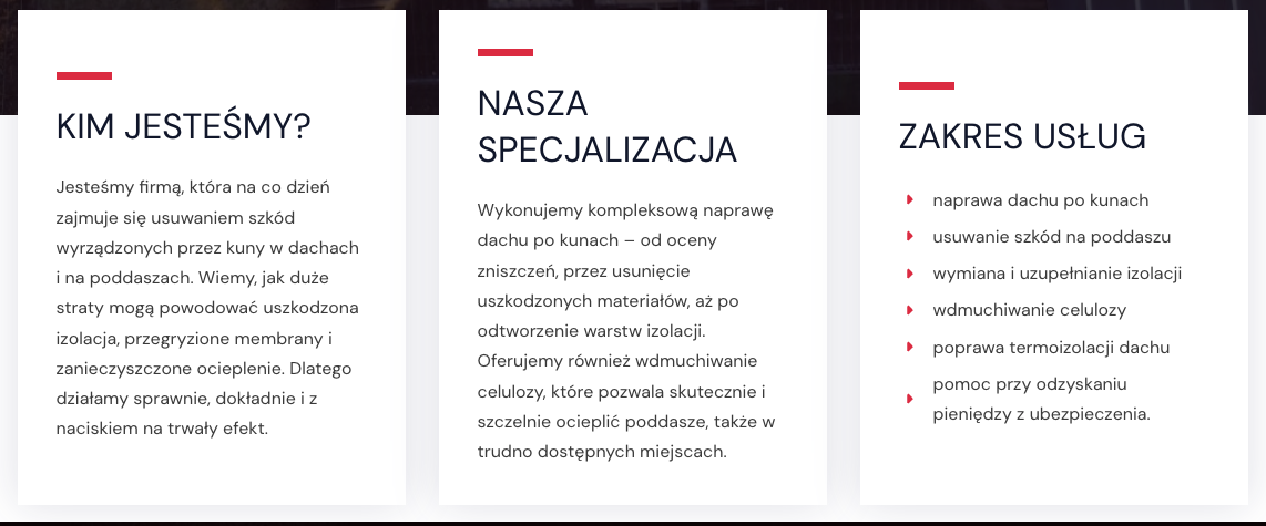 StopKuna.pl - naprawa dachu po kunach