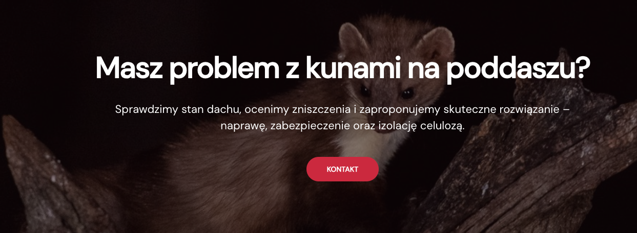 StopKuna.pl - naprawa dachu po kunach