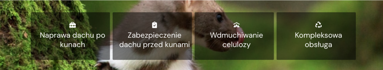 StopKuna.pl - naprawa dachu po kunach