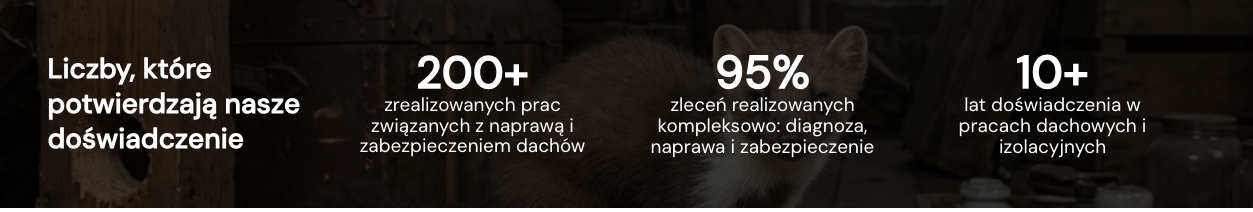 StopKuna.pl - naprawa dachu po kunach